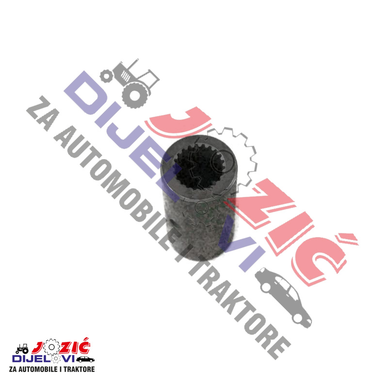 Daisy on the Ohoopee